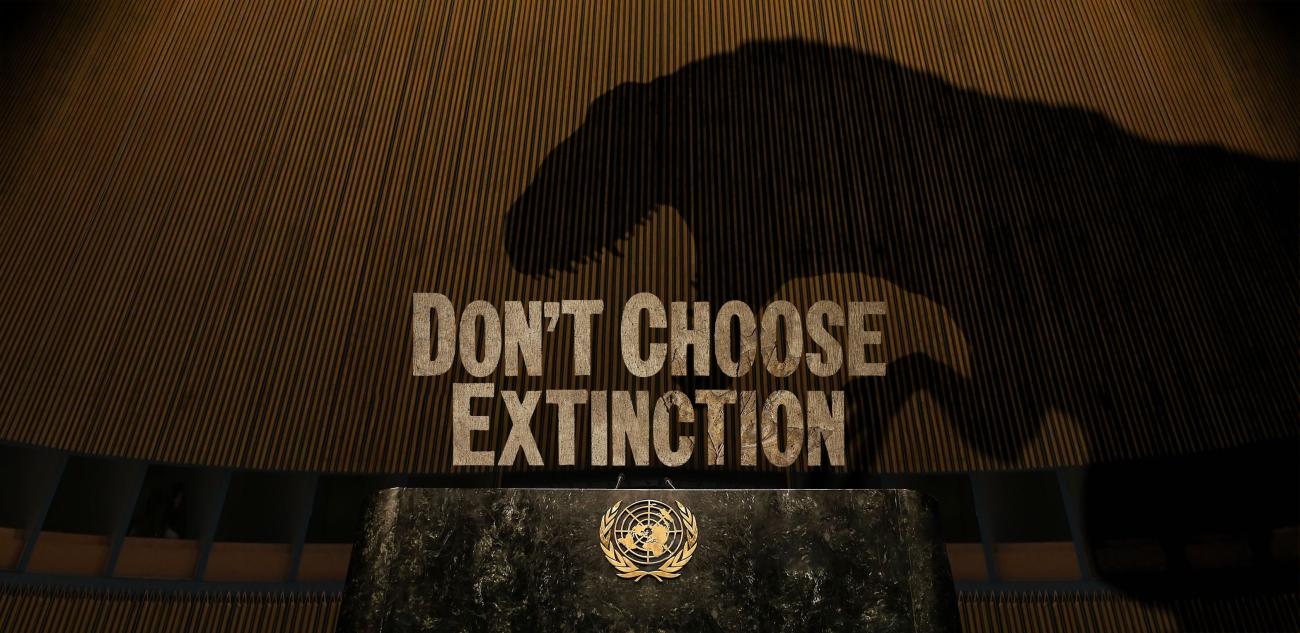 Don't choose extinction