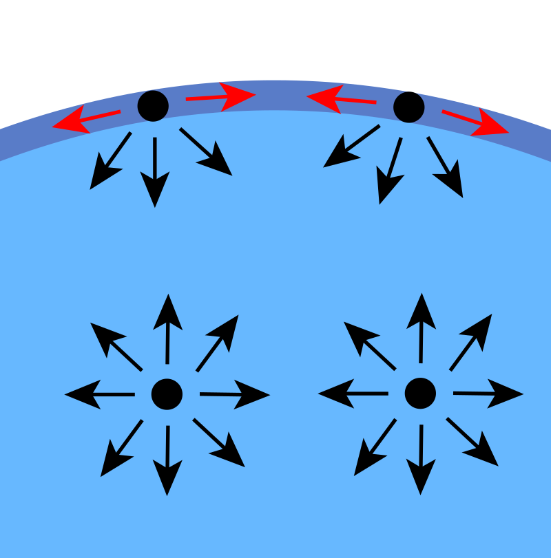 Diagram of the cohesive forces on molecules of a liquid